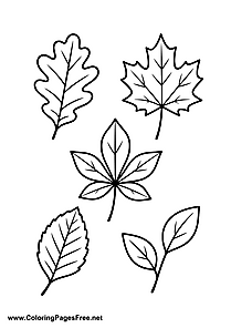 Autumn Leaves Branch Collection Coloring Page