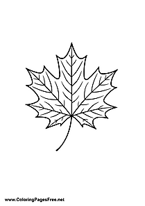 Autumn Maple Leaf Coloring Page