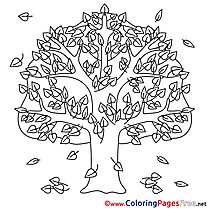 Autumn Tree free Colouring Page download