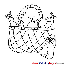 Basket Fruits Coloring Sheets download free