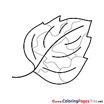 Beautiful Leaf Kids download Coloring Pages