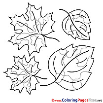 Beautiful Leaves Coloring Sheets download free