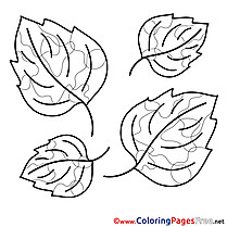 Beautiful Leaves Kids free Coloring Page