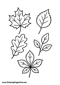 Different Leaves in Autumn Coloring Page