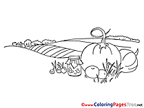 Field free printable Coloring Sheets