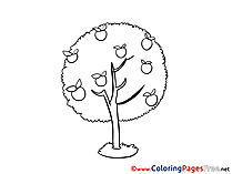 Harvest Apple printable Coloring Pages for free