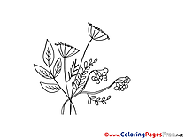 Herbs Kids download Coloring Pages