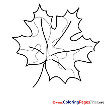 Image Leaf for free Coloring Pages download