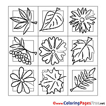 Image Leaves download Colouring Sheet free