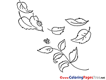 Insects free Colouring Page download