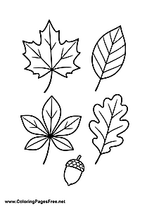 Maple and Oak Leaves Coloring Page