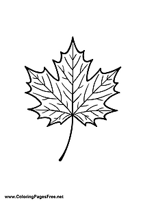 Maple Leaf Coloring Page for Kids