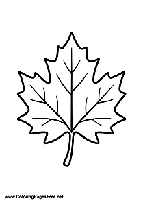Maple Leaf Coloring Sheet to Print