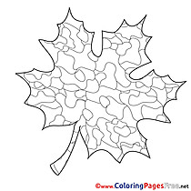 Maple Leaf for Children free Coloring Pages