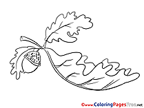 Oak Leaf Colouring Sheet download free