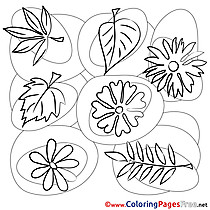 Picture Leaves free printable Coloring Sheets