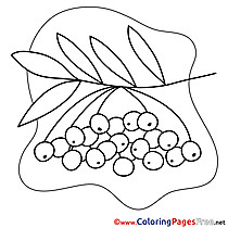 Rowan for Kids printable Colouring Page