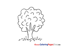 Tree for Kids printable Colouring Page