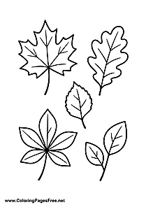 Various Autumn Leaves Coloring Page