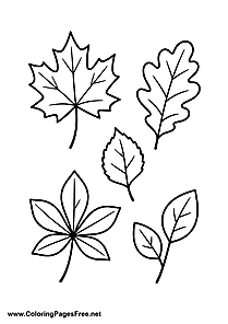 Various Autumn Leaves Coloring Page