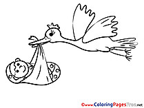 Bird Baby Colouring Page printable free