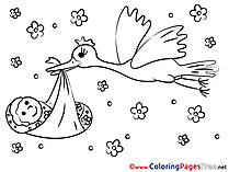 Bird Baby for Kids printable Colouring Page