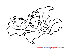 Cabbage printable Coloring Pages for free