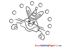 Rabbit Colouring Sheet download free