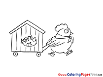 Chicken printable Coloring Sheets download