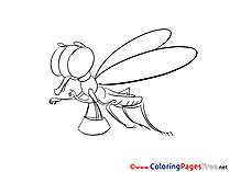 Dragonfly printable Coloring Sheets download