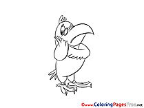 Parrot Kids free Coloring Page