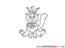 Bird Cat Kids free Coloring Page