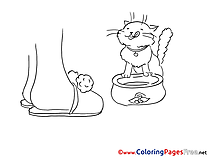 Coloring Pages for free Cat