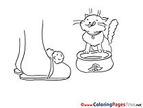 Coloring Pages for free Cat