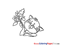 Flower Cat free Colouring Page download