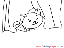 Kitten printable Coloring Sheets download
