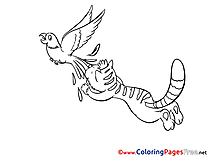 Parrot Cat Colouring Page printable free