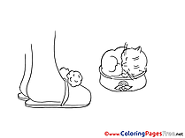 Printable Coloring Sheets Cat download