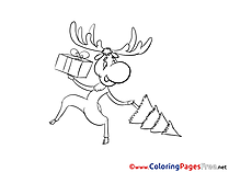 Deer free Colouring Page Christmas