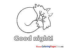 Cat Good Night Coloring Pages download