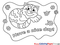 Cat free Colouring Page Have a nice Day