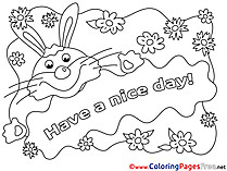 Rabbit Have a nice Day Coloring Pages free