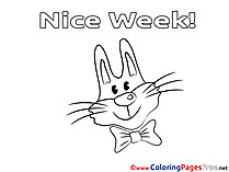 Rabbit Kids Nice Week Coloring Page