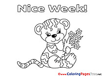 Tiger Colouring Page Nice Week free