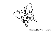 Butterfly download Colouring Sheet free