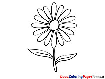 Astra Kids free Coloring Page