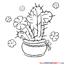 Cactus in the Pot for free Coloring Pages download