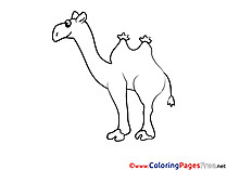 Camel Kids download Coloring Pages