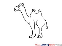 Camel Kids download Coloring Pages