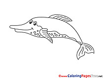 Dolphin Colouring Page printable free